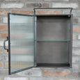 Clearance - Wall Storage Unit - 1 Door - Metal and Glass - FSS16987