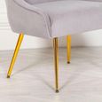Light Grey Velvet Bedroom Chair thumbnail 4