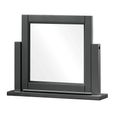 Wilmont Dressing Mirror - Black Painted