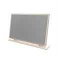 Haworth Dressing Mirror - Large - Cashmere
