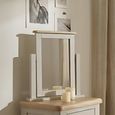 Windermere Painted Vanity Mirror - Oyster Grey