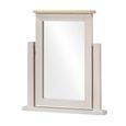 Windermere Painted Vanity Mirror - Oyster Grey
