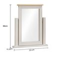 Windermere Painted Vanity Mirror - Oyster Grey