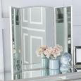 Clearance - Elysee Vanity Mirror - Arch - Pewter
