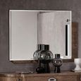 Armonia Italian Silver Birch Wall Mirror thumbnail
