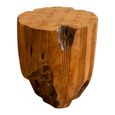Carved Stool - Round - Live Edge - Brown - Wooden