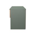 Bora Bed Box - 2 Drawer - Open Shelf - Gold Craft Oak and Reed Green