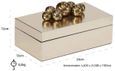 Norah Gold Jewellery Box