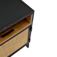 Bedside Cabinet - 1 Door - Natural Rattan and Black Metal