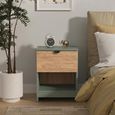 Bora Bedside Cabinet - 1 Drawer - Open Shelf - Gold Craft Oak and Reed Green