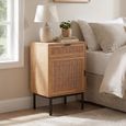 Bedside Table - 1 Door 1 Drawer - Natural and Black - Rattan and Metal