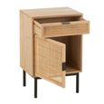 Bedside Table - 1 Door 1 Drawer - Natural and Black - Rattan and Metal