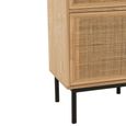 Bedside Table - 1 Door 1 Drawer - Natural and Black - Rattan and Metal