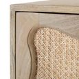 Natura Rattan and Mango Wood 2 Drawer Bedside Cabinet thumbnail 4