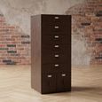 Vade Chest - Multi Drawers - Industrial Style - Tall - Rust Brown Metal