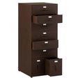 Vade Chest - Multi Drawers - Industrial Style - Tall - Rust Brown Metal