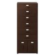 Vade Chest - Multi Drawers - Industrial Style - Tall - Rust Brown Metal