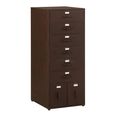 Vade Chest - Multi Drawers - Industrial Style - Tall - Rust Brown Metal