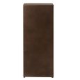 Vade Chest - Multi Drawers - Industrial Style - Tall - Rust Brown Metal