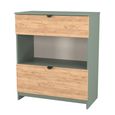 Bora Chest - 2 Drawer - Open Shelf - Deep - Gold Craft Oak and Reed Green