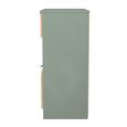 Bora Chest - 2 Drawer - Open Shelf - Deep - Gold Craft Oak and Reed Green