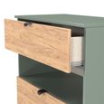 Bora Chest - 3 Drawer - Open Shelf - Deep - Gold Craft Oak and Reed Green