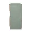 Bora Chest - 4 Drawer - Open Shelf - Midi - Gold Craft Oak and Reed Green