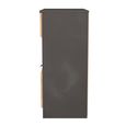 Bora Chest - 2 Drawer - Open Shelf - Deep - Gold Craft Oak and Graphite