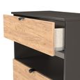 Bora Chest - 3 Drawer - Open Shelf - Deep - Gold Craft Oak and Graphite