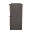 Bora Chest - 4 Drawer - Open Shelf - Midi - Gold Craft Oak and Graphite