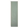 Java Fluted Wardrobe - 2 Door - 1 Mirror - Natural and Reed Green
