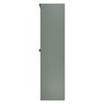 Bora Double Wardrobe - 1 Door - Open Shelf - Gold Craft Oak and Reed Green