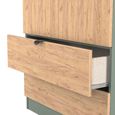 Bora Wardrobe - 2 Door - 2 Drawer - Gold Craft Oak and Reed Green