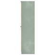 Bora Triple Wardrobe - 2 Door - Open Shelf - Gold Craft Oak and Reed Green