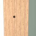 Bora Wardrobe - 2 Door - Gold Craft Oak and Reed Green