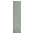 Bora Wardrobe - 2 Door - Gold Craft Oak and Reed Green