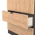 Bora Wardrobe - 2 Door - 2 Drawer - Gold Craft Oak and Graphite
