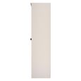 Bora Double Wardrobe - 1 Door - Open Shelf - Gold Craft Oak and Kashmir Matt
