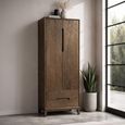 Cortez Wardrobe - 2 Door - 2 Drawer - Brown - Mango Wood