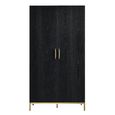 Tulip Wardrobe - 2 Door - Wenge Black and Gold - Wood and Metal
