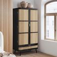 Noah Wardrobe - 2 Door - 1 Drawer - Black - Rattan