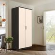Celle Wardrobe - 91cm - 2 Door - Metallic Dark Grey & Champagne