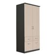 Celle Wardrobe - 91cm - 2 Door - Metallic Dark Grey & Champagne - 4 Drawer