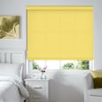 Alexa Roller Blind - Canary