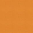 Jesse Roman Blind - Clementine