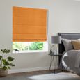 Jesse Roman Blind - Clementine