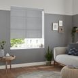 Lear Roller Blind - Iron