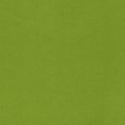 Lena Roller Blind - Kiwi