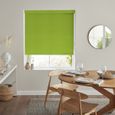 Lena Roller Blind - Kiwi