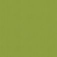 Miranda Roller Blind - Grass
